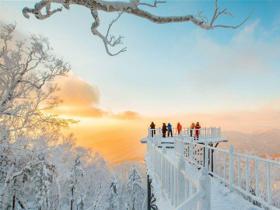 黑龍江研究全省全域旅遊和冰雪旅遊發(fā)展規(guī)劃