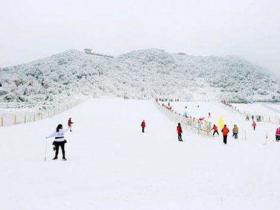 天津體育局學習《關於(yú)以2022年北京冬奧(ào)會爲契機大力發展冰雪運動的意見》