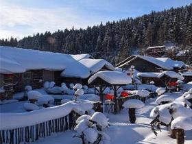 中國冰雪旅遊推廣(guǎng)聯盟工作會議舉行 7省（區市）17家企業成首批會員單(dān)位