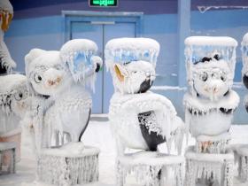 春城也有藍海冰原 我國西部最大城市單(dān)體室内滑雪場(chǎng)建成