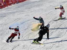 石家莊市參(cān)與冰雪活動(dòng)人數超百萬