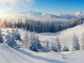 省體育局關於(yú)印發(fā)2020年江蘇省體育消費券發(fā)放方案的通知