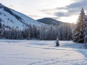 化冰雪資源爲冰雪文化、冰雪經(jīng)濟(jì)，盡展新疆魅力