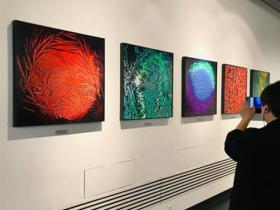 迎冬奧(ào)冰雪藝術展哈爾濱(bīn)首展開幕