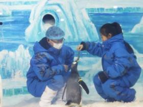 五省市冬季旅遊市場：開發冰雪資源 打造熱門産業