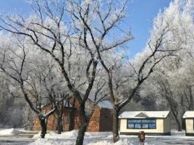 冰與火的變(biàn)奏——吉林長春冰雪旅遊産(chǎn)業發展觀察