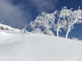 冰雪旅遊持續升溫　網訂(dìng)同比增長(zhǎng)超四成 