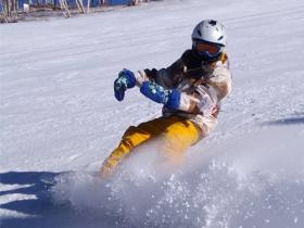 王豔霞委員：加快冰雪運動普及，爲學生提供滑雪票半價優惠