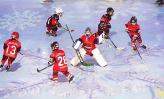 四大主題(tí)體現“中芬冬季運動(dòng)年”多樣性