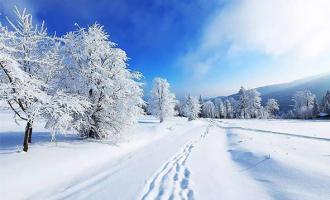 哈爾(ěr)濱(bīn)邁向世界冰雪文化旅遊名城