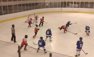 哈爾(ěr)濱(bīn)明年将建立各級冰雪特色學校200所