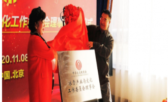 中華文化促進會冰雪産(chǎn)業與文化工作委員會助力冰雪發(fā)展