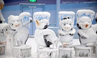 春城也有藍海冰原 我國西部最大城市單(dān)體室内滑雪場(chǎng)建成