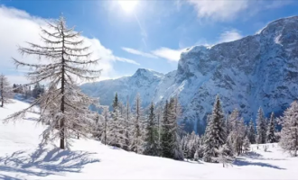 新疆和吉林簽署合作框架協議 攜手推動(dòng)冰雪經濟高質量發(fā)展