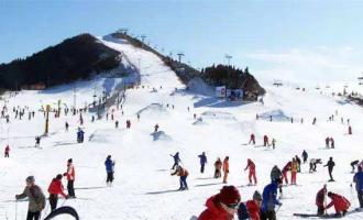 解析《2018-2019年雪季吉林省冰雪旅遊調(diào)查報(bào)告》