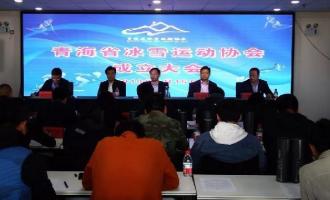 北京冬奧(ào)倒計時1000天 青海省冰雪運動(dòng)協會成立
