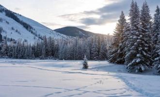 化冰雪資源爲冰雪文化、冰雪經濟，盡展新疆魅力