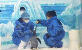 五省市冬季旅遊市場：開發冰雪資源 打造熱門産業