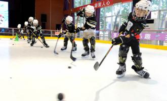 石家莊36所中小學獲省級冰雪運動(dòng)學校稱(chēng)号