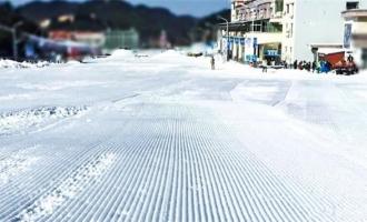 《教育部等四部門關於(yú)加快推進全國青少年冰雪運動進校園的指導(dǎo)意見》全文