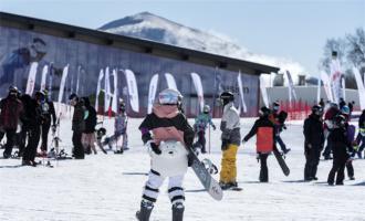 今冬哈爾濱(bīn)将推出一系列群衆性活動(dòng)和冰雪惠民舉措