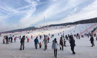 全國冰雪運動(dòng)場(chǎng)所安全工作會議召開