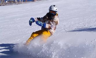 王豔霞委員：加快冰雪運動普及，爲學生提供滑雪票半價優惠