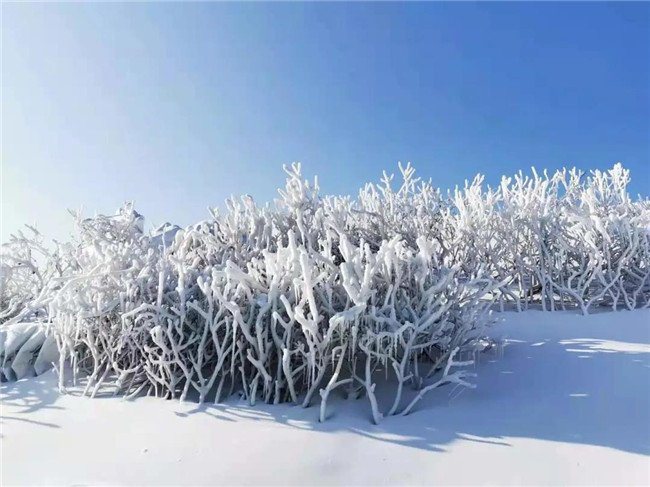 林語山谷戲雪樂園開闆迎客5