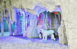 石家莊西部長(zhǎng)青室内滑雪館(guǎn)開業啦2