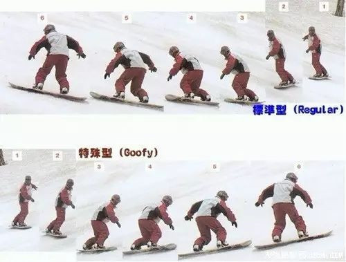 标準型和特殊型