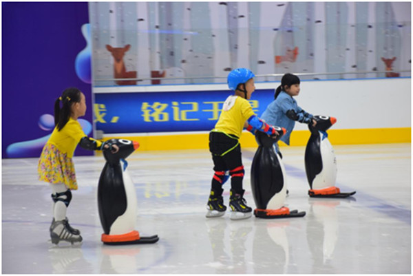 大型室内真冰溜冰場