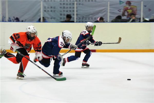 銘星金豹冰球隊比賽現場