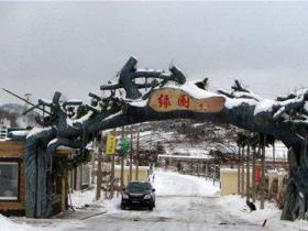 遼甯鐵嶺綠園小馬駒滑雪場