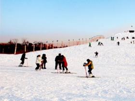 江蘇鹽城阜甯金沙湖滑雪場