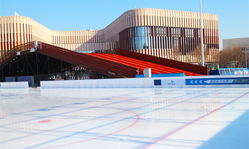 冰雪嘉年華(huá)暨ICE（耐思）天津河西惠民冰雪節(jié)