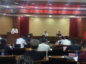 山東(dōng)省冰雪運動(dòng)協會正式成立