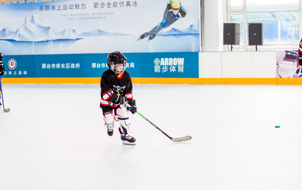 冰球對抗賽表演