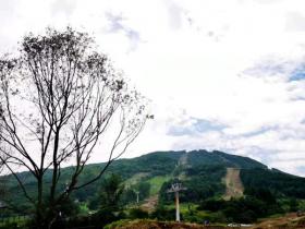 通化：政府企業同發力 釋放冰雪産業發展新效能