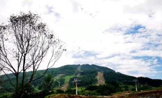 通化：政府企業同發力 釋放冰雪産業發展新效能