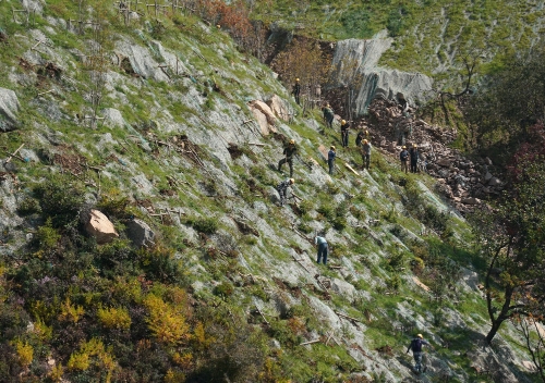 工作人員在延慶賽區進行生态修複工作