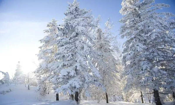 做好冰雪文章 壯大白色經濟