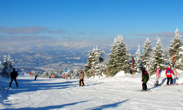 全國滑雪場(chǎng)聯盟辦(bàn)冰雪運動與營地教育發展論壇