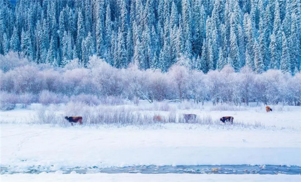 新疆冰雪旅遊線路