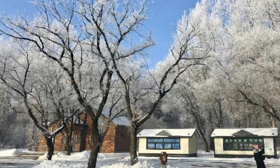 長春淨月潭現霧凇景觀