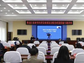 黑龍江省文化和旅遊廳組織參(cān)加“業務大講堂”冰雪經濟(jì)專題講座