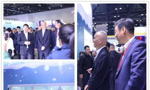 北京市委書記蔡奇等領導(dǎo)莅臨銘星冰雪2019冬博會(huì)展位