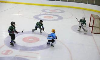 2022年冰場(chǎng)建設成爲大衆創(chuàng)業新方向