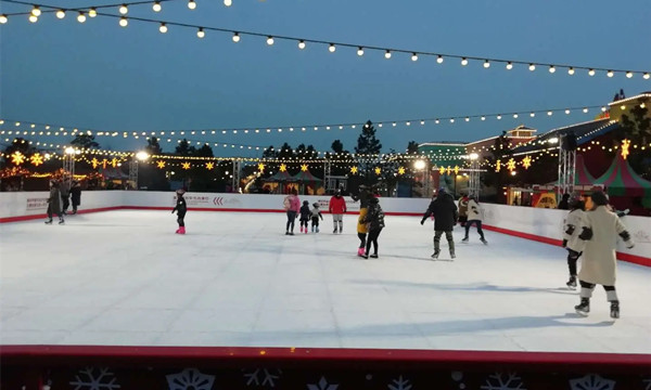 我學會瞭滑冰作文