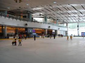 一個滑冰場需要投資多少錢