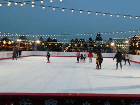 我學會(huì)瞭(le)滑冰作文（一至六年級）